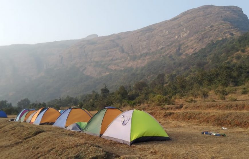Kalsubai Camping